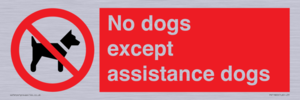 No dogs except assistance dogs